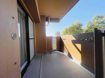 �o���R�j�[�@-