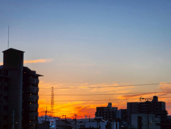 �Z�˂���̒��]�ʐ^�@�o���R�j�[����̒���!�I�Y��ȗ[�Ă������邱�Ƃ��ł��܂���