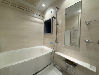 �����@���������@�E�ǂ������E�~�X�g�T�E�i�t���ł���