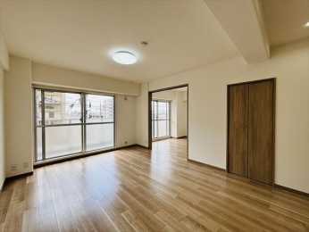 ���r���O�ȊO�̋����@-