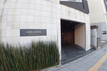 �G���g�����X�@-