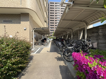 ���̑����p���@-