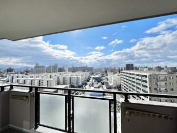 �Z�˂���̒��]�ʐ^�@�삩�炽���Ղ�̗z�����~�蒍���o���R�j�[��