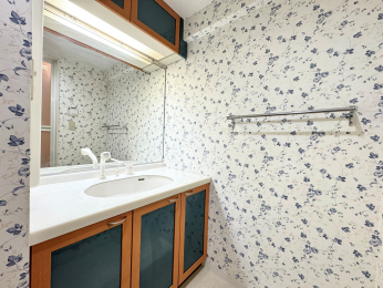 ���ʑ�E���ʏ��@���C�h�Ȑ��ʉ��ϑ�ł��� �㕔���[�����