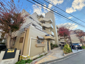 ���n�O�ώʐ^�@���ː�43�˂̃}���V�����ł���