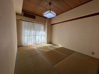 ���r���O�ȊO�̋����@-