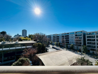 �Z�˂���̒��]�ʐ^�@-