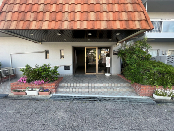 �G���g�����X�@-