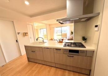 �L�b�`���@�ΖʃL�b�`���i�r���g�C���H��@�t�E�^�b�`���X�����j ���Ɩ��E�Ƌ�E���x�i�͔̔��ΏۊO�ł��B