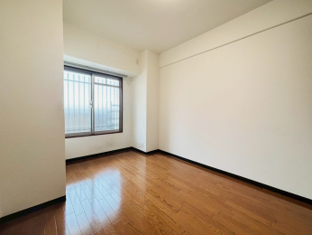 ���r���O�ȊO�̋����@-