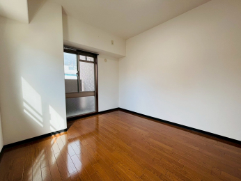 ���r���O�ȊO�̋����@-