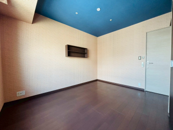 ���r���O�ȊO�̋����@-