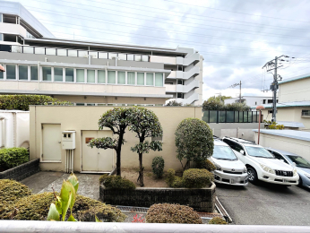 �Z�˂���̒��]�ʐ^�@������o���R�j�[����̒��]�I