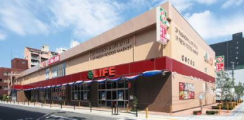 ���ӊ��@���C�t�����X�F�k��8���i578���j 