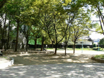 ���ӊ��@���ʌ����F�k��7���i555���j