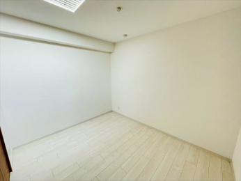 ���r���O�ȊO�̋����@-