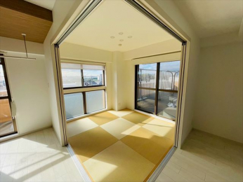 ���̑����ρ@-