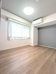 ���r���O�ȊO�̋����@���_�炩�ȗz�̌��������Ղ�Ɠ��閾�邢�������ł�