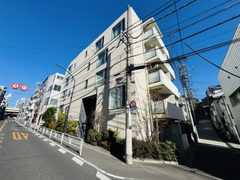 ���n�O�ώʐ^�@������w����k��8���̍D���n��