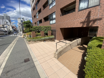 �G���g�����X�@-