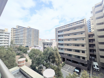 �Z�˂���̒��]�ʐ^�@-