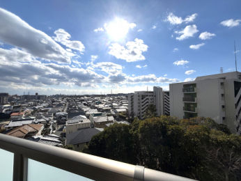 �Z�˂���̒��]�ʐ^�@-