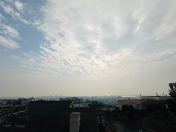 �Z�˂���̒��]�ʐ^�@-