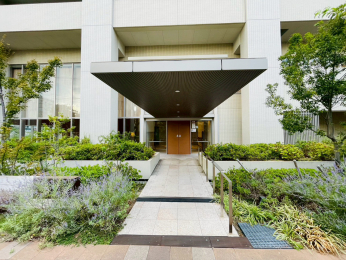 �G���g�����X�@-