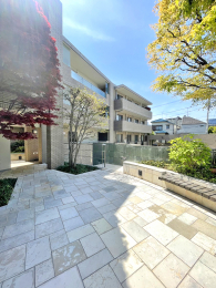 ���̑����p���@���V�R�΂��ӂ񂾂�ɔz�����V�b�N�ȐF���I