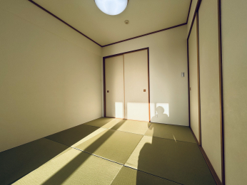 ���r���O�ȊO�̋����@�S�����������a���̂������ł��I�i��4.5���j