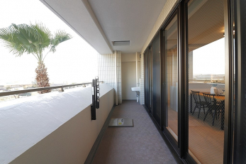 �o���R�j�[�@���o���R�j�[�ɃX���b�v�V���N�t���ł���