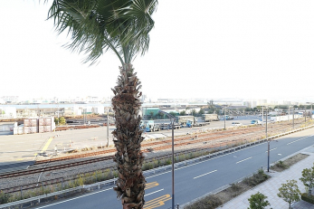 �Z�˂���̒��]�ʐ^�@���o���R�j�[����̒��]�ł����쓌�����ŗz����ǍD�ł���