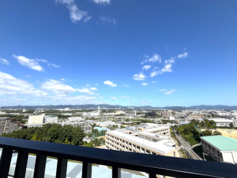 �Z�˂���̒��]�ʐ^�@-