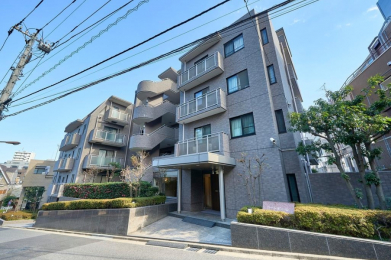 ���n�O�ώʐ^�@���u�s���J�v�w�k��6���I�����w�E�H�����p�\�Œʋ΁E�ʊw�ɕ֗��I