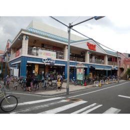 ���ӊ��@�f�C���[�J�i�[�g�C�Y�~���K�ÓX