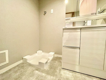 ���ʑ�E���ʏ��@����p��