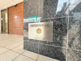 ���̑��@���{�h�ƃ��f���}���V����