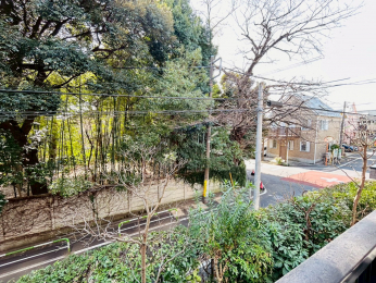 �Z�˂���̒��]�ʐ^�@-