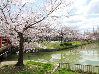 ���ӊ��@�����r�����@�k����3��