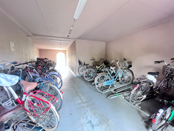 ���̑����p���@�����t���̒��փX�y�[�X�I�J�̓��ł����S�ł��ˁ� 