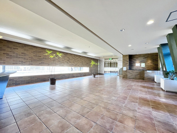 ���r�[�@���邢���̂������ށA�L�X�Ƃ����G���g�����X���r�[�I