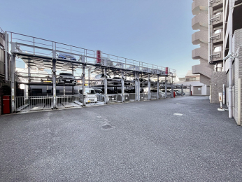 ���̑����p���@�~�n���͎���ꂪ�s���͂��Ă���S�n�悭���߂������������܂���