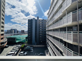 �Z�˂���̒��]�ʐ^�@������o���R�j�[����̒��]�I�z������ǍD��