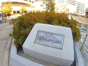 ���ӊ��@-