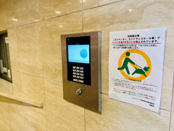 ���̑����p���@-