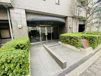 �G���g�����X�@-