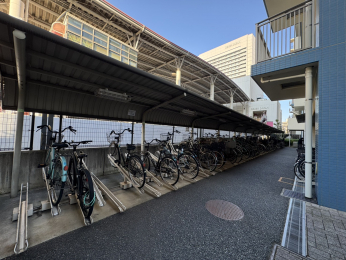 ���̑����p���@�~�n���͎���ꂪ�s���͂��Ă���S�n�悭���߂������������܂���