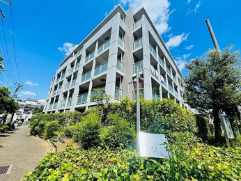 ���n�O�ώʐ^�@���s�c��]�ː��u����v�w�A�k��5���I�����w�E�H�����p�\�Œʋ΁E�ʊw���ցI�I