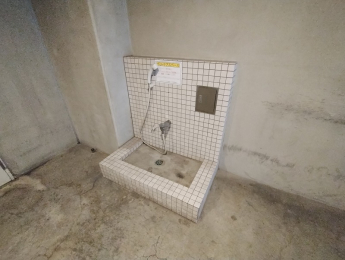 ���̑����p���@�y�b�g���􂢏�