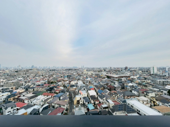 �Z�˂���̒��]�ʐ^�@-